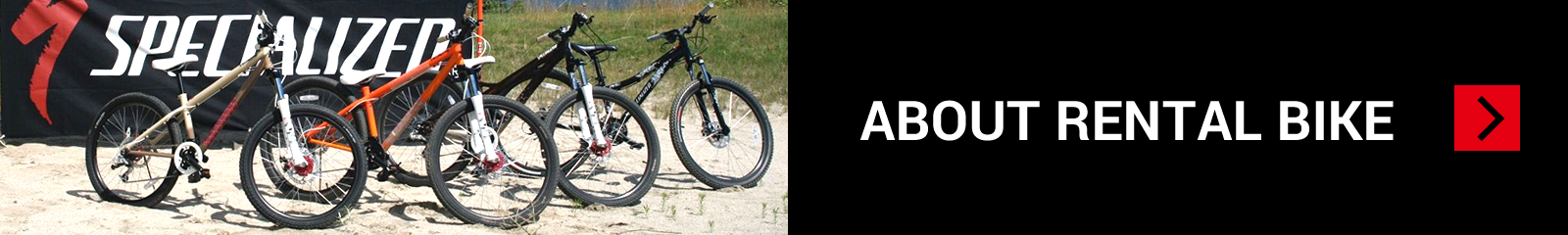 ABOUT RENTAL BIKE