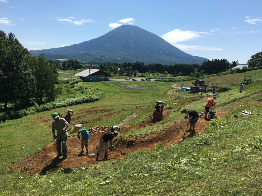 【Job Offer】2023 SummerAutumn Season Job Opportunities Assistant